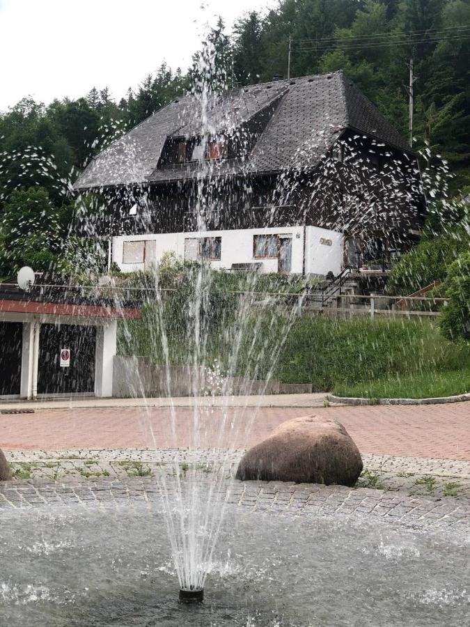 شقة Haus Am Scheibenfelsen سانت بلاسين المظهر الخارجي الصورة