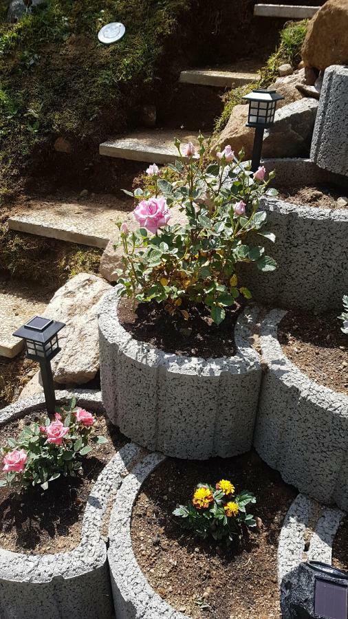 شقة Haus Am Scheibenfelsen سانت بلاسين المظهر الخارجي الصورة