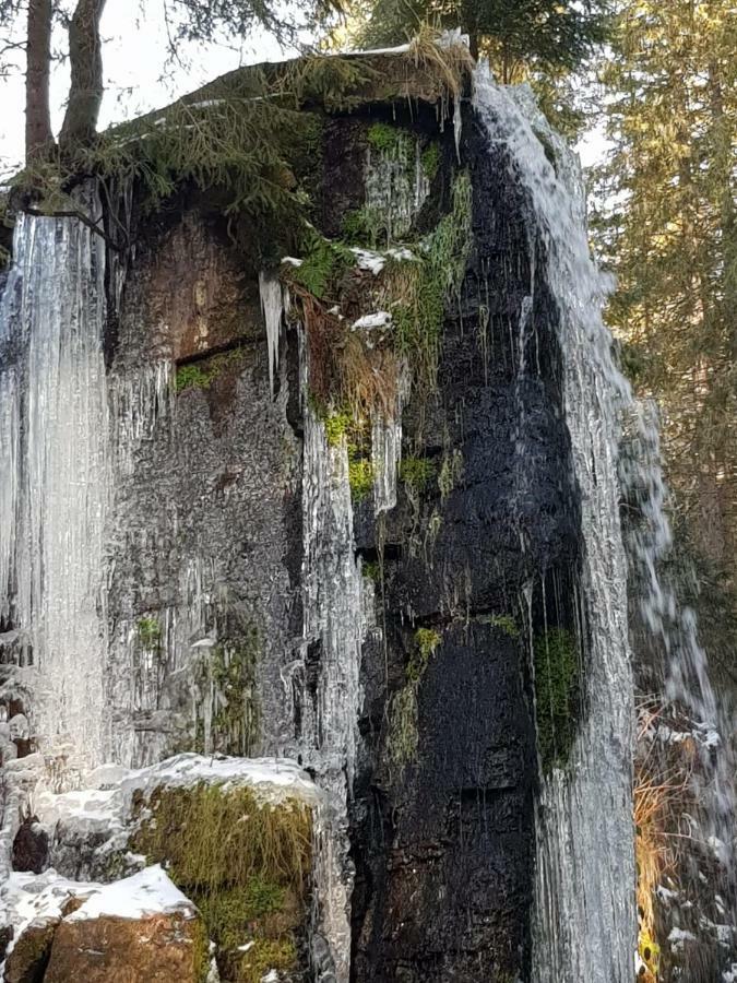 شقة Haus Am Scheibenfelsen سانت بلاسين المظهر الخارجي الصورة